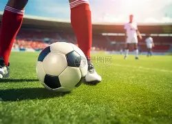 孙悦场均助,攻创个人最,替补有望加,宝威体育官网,宝威体育平台,宝威体育链接,宝威体育官方