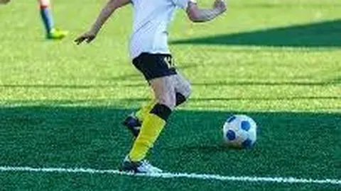 宝威体育 产品 000142 cm6