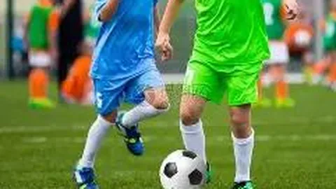 宝威体育 产品 093812 ptj